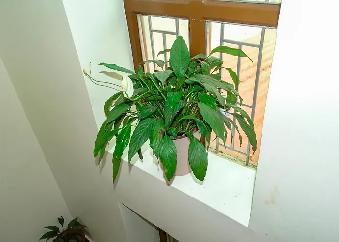 Appartement Raniban Lila's Katmandou