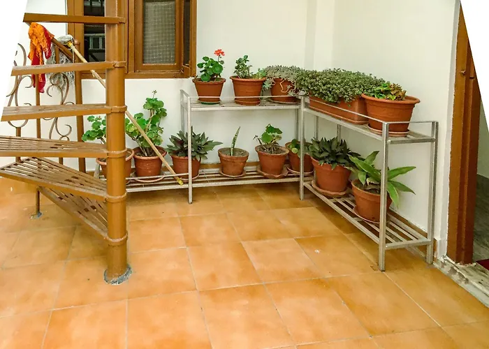 Appartement Raniban Lila's